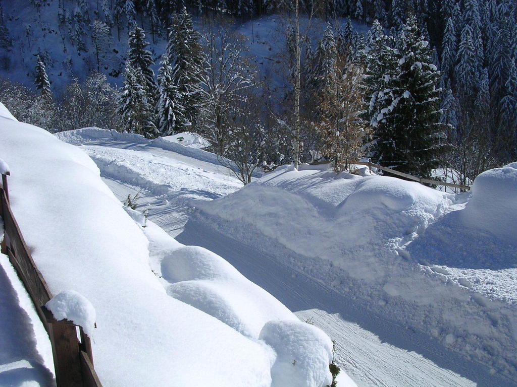 Appartement Oberschernthann Hopfgarten im Brixental Eksteriør bilde